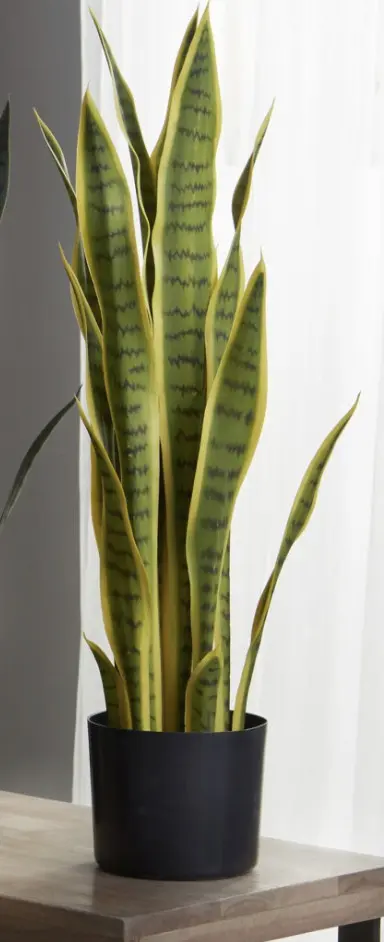 Artificial Snake Plant