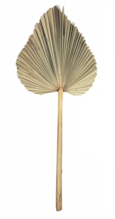 Decorative Palm Leaf