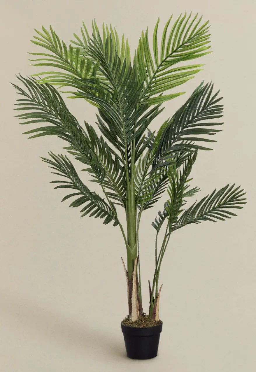 Decorative Palm Tree